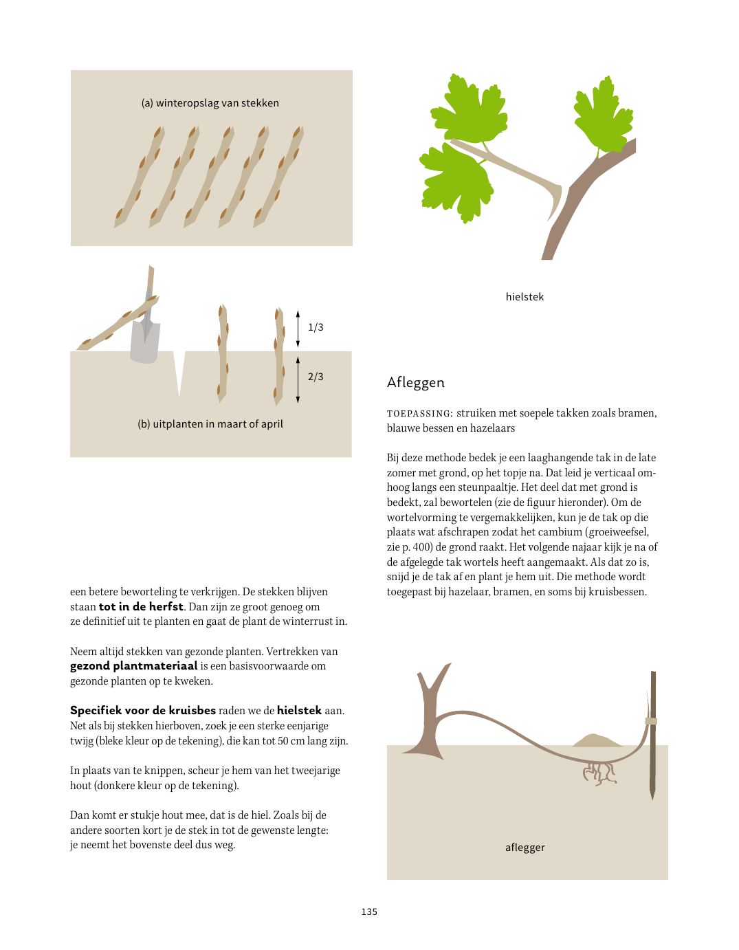 Pagina uit Fruit in de tuin: Stekken en afleggen, p. 134–135