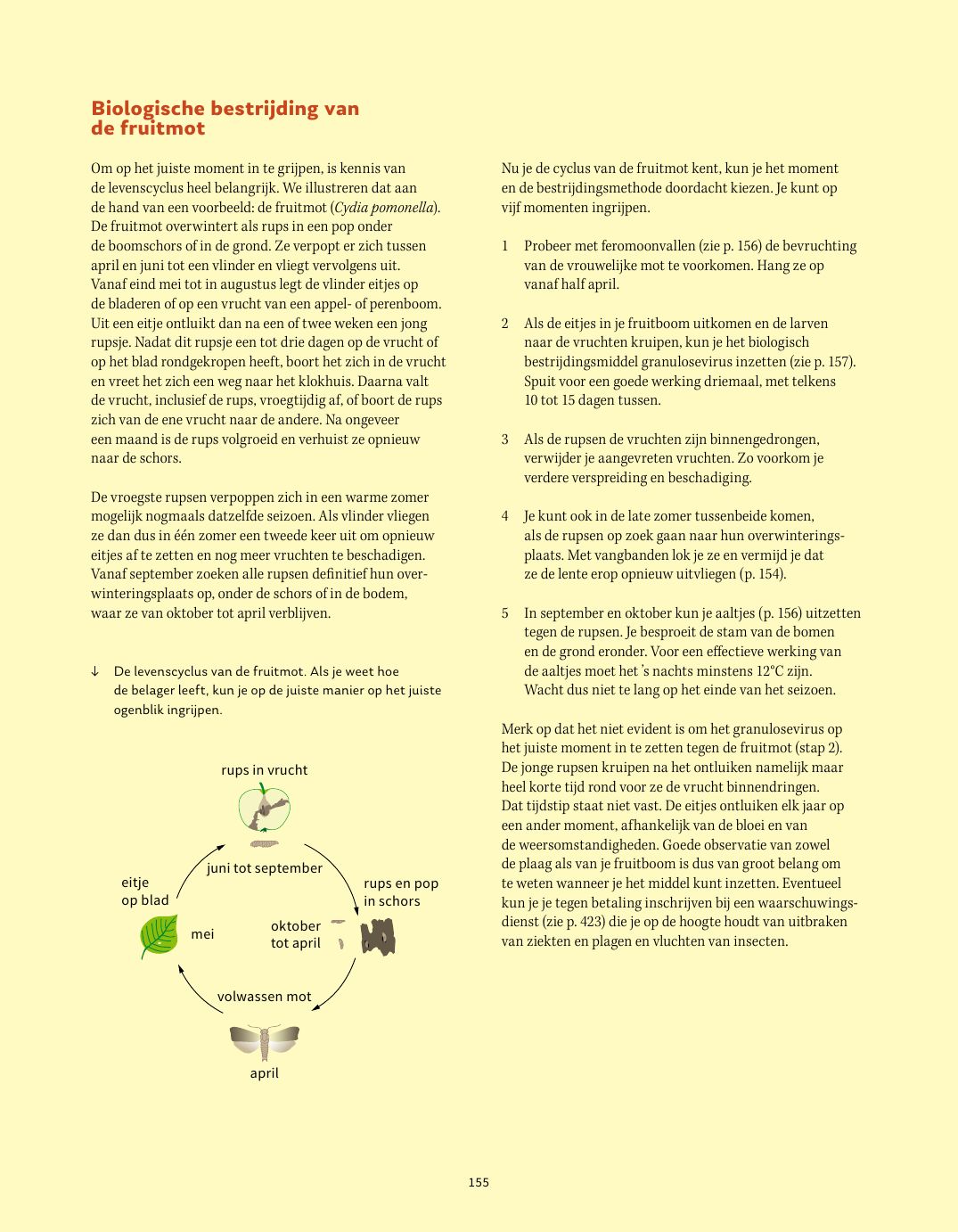 Pagina uit Fruit in de tuin: Ziektes en plagen voorkomen, p. 154–155