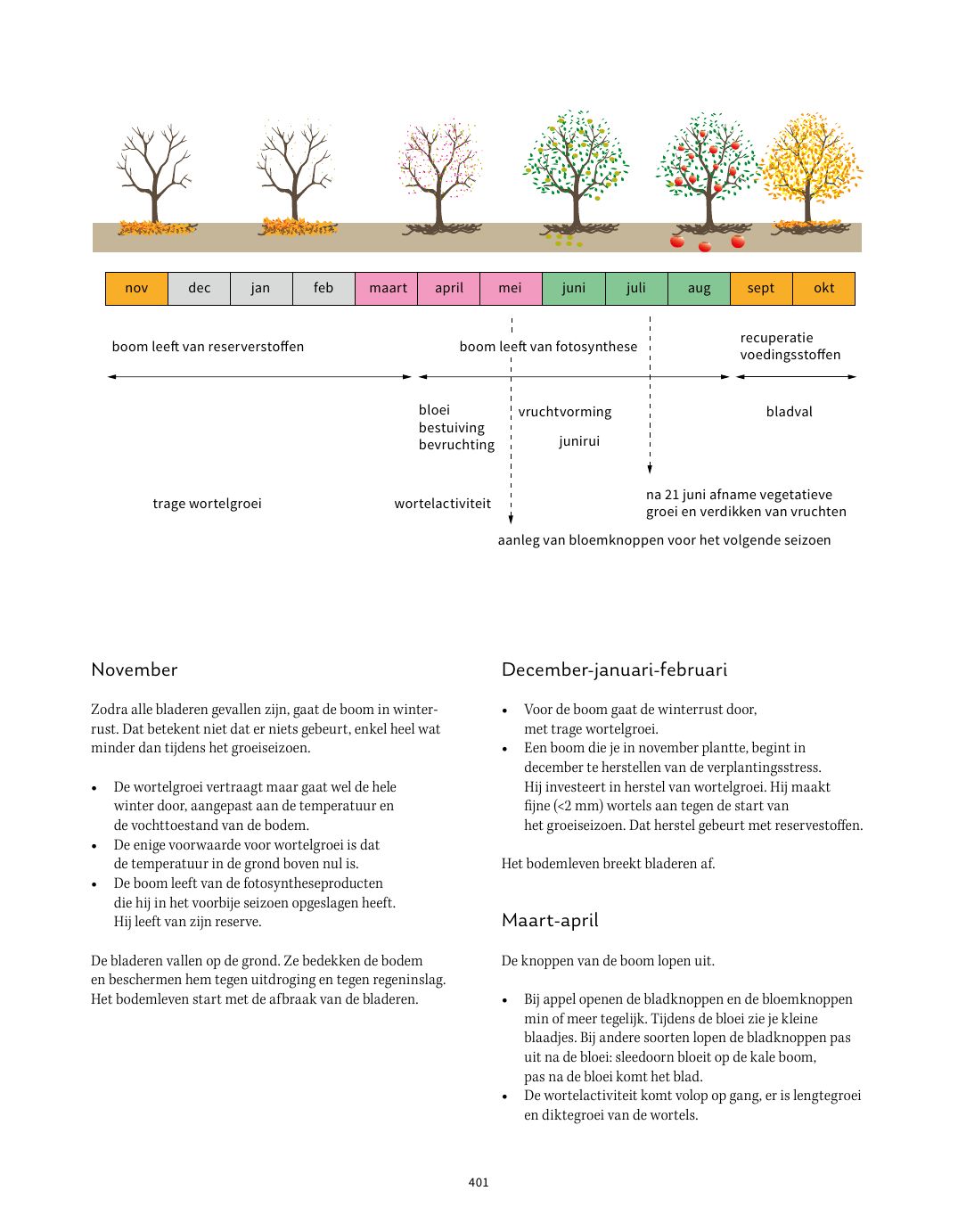 Pagina uit Fruit in de tuin: Hoe bomen groeien, p. 400–401
