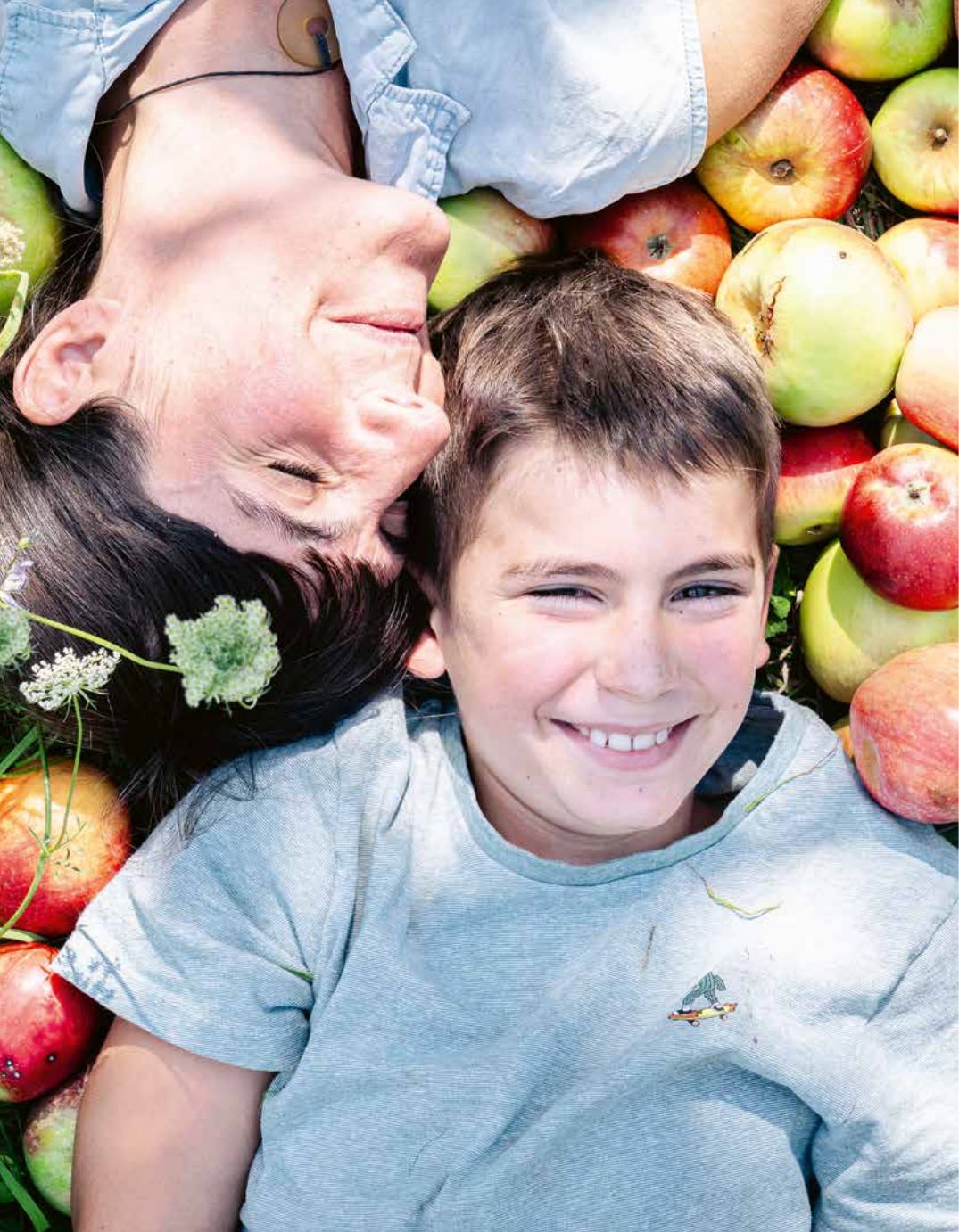Pagina uit Fruit in de tuin: Meer genieten met Velt, p. 424–425