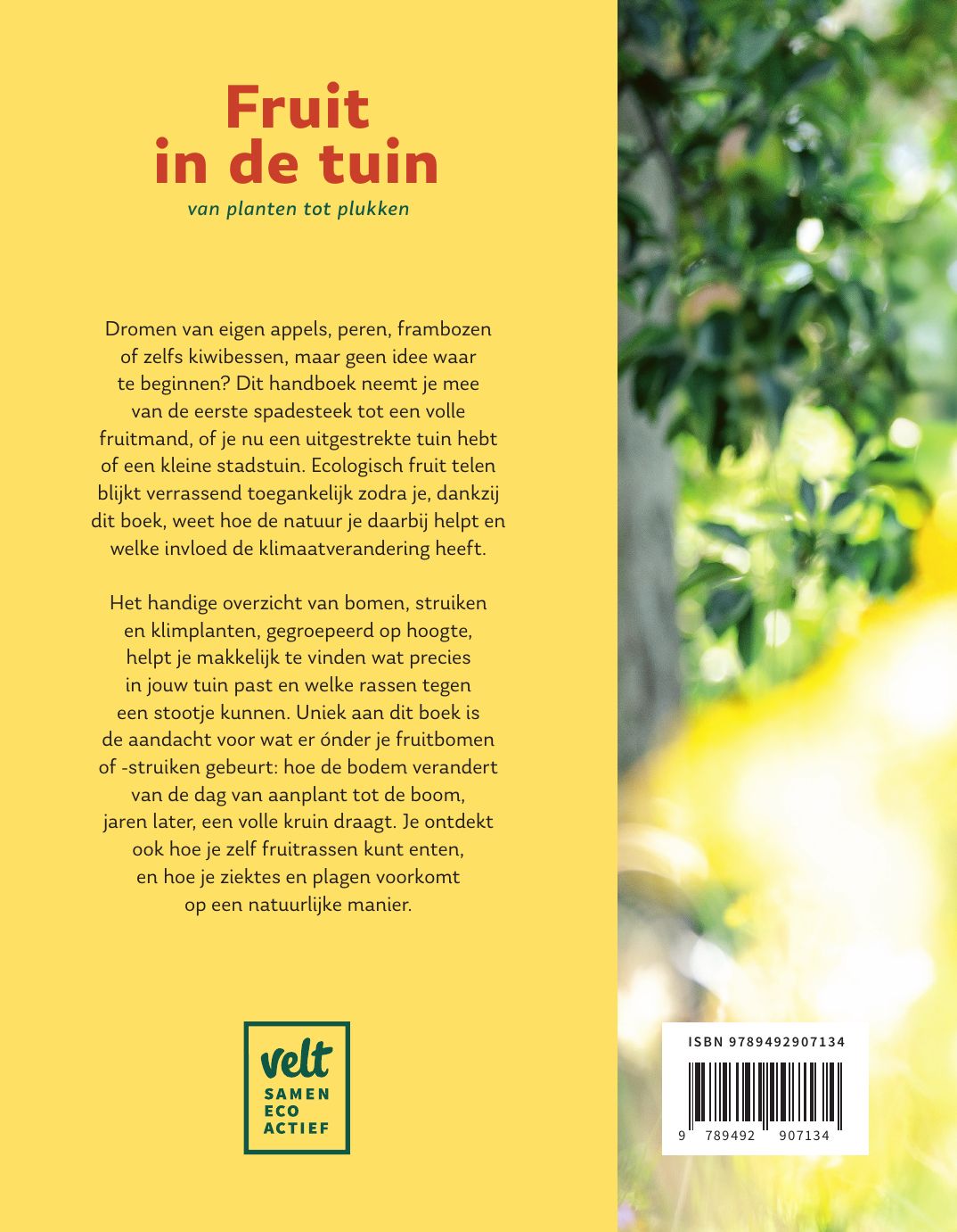 Achterkant van Fruit in de tuin