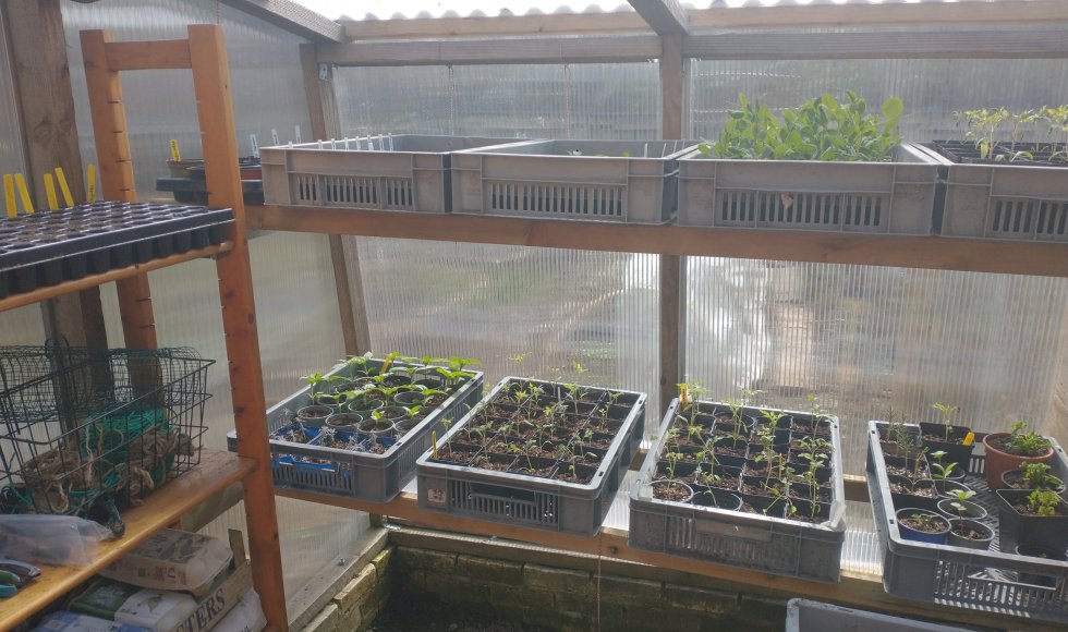 Kolibri perma-stadstuin