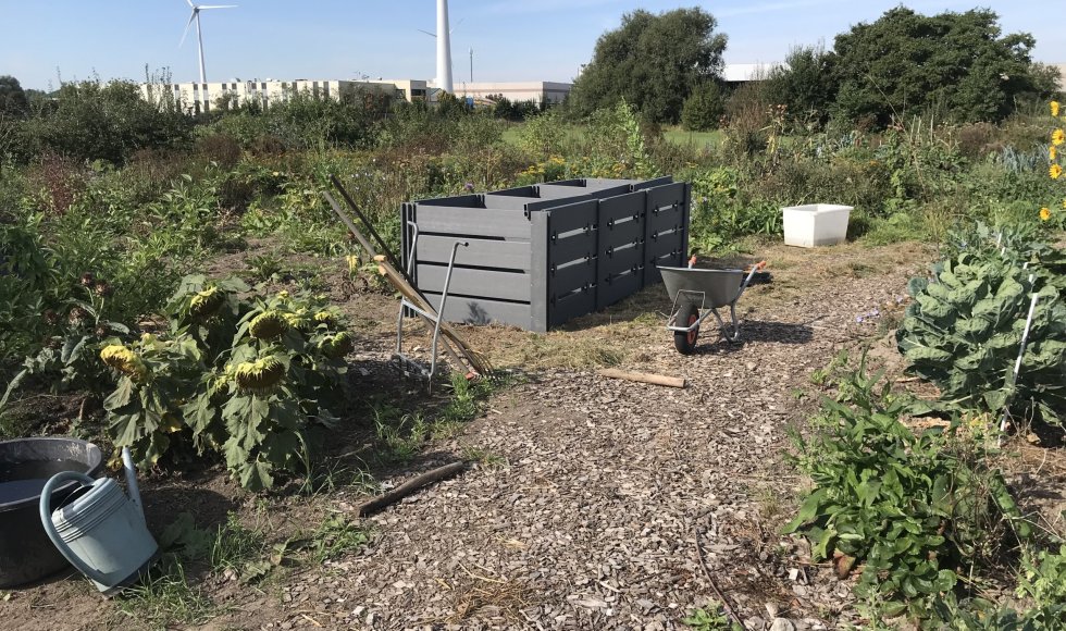 Permacultuur en voedselbos in Baasrode