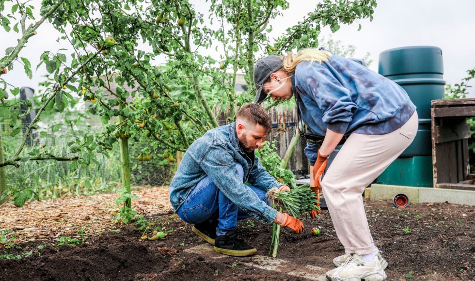 planten