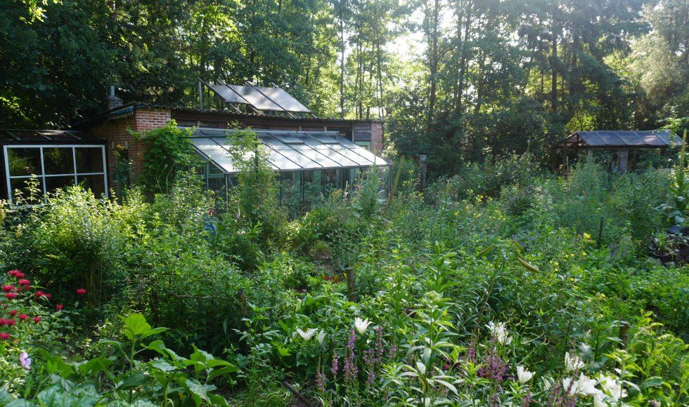 merel van baelen_oevervloed_Balen