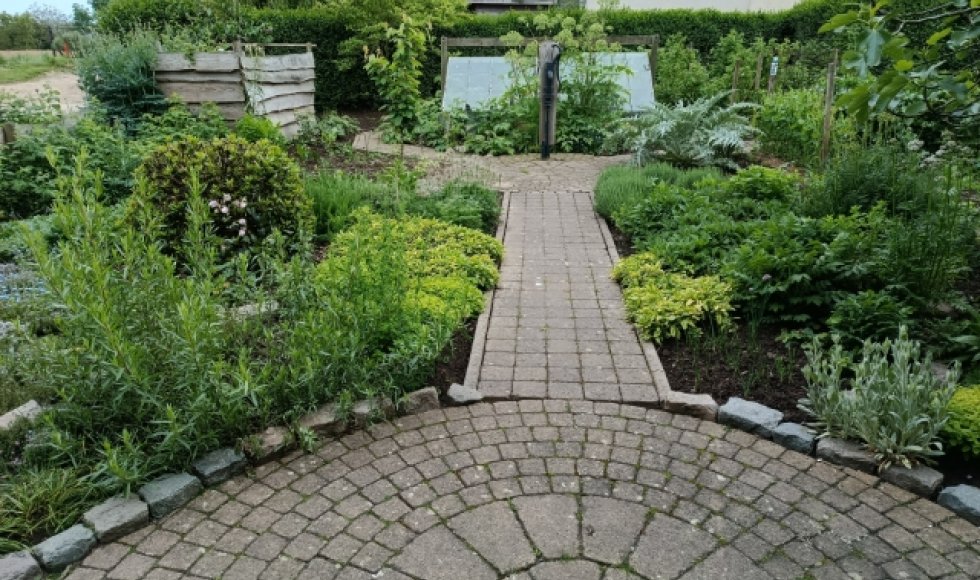 Tuin der Wonderen_Fagard