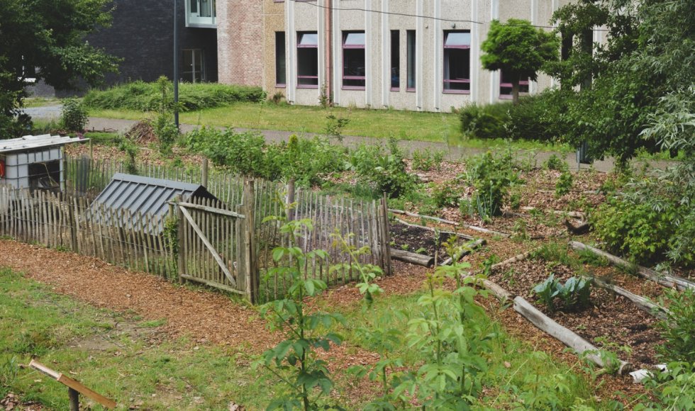 Nomad City Garden