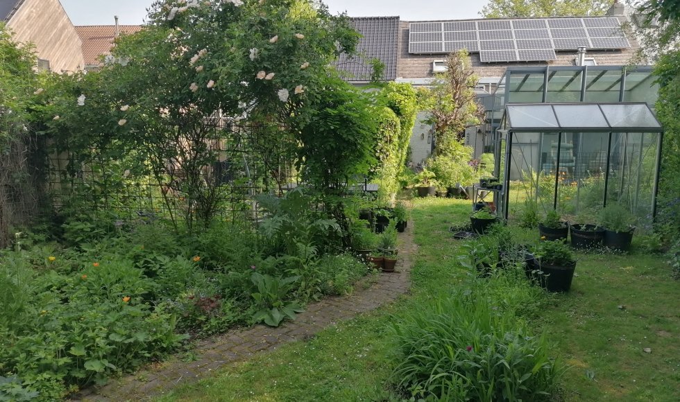 Mermaid house-garden