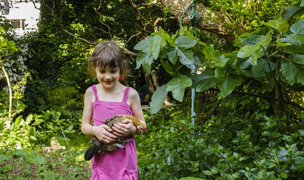 Kippen en kinderen