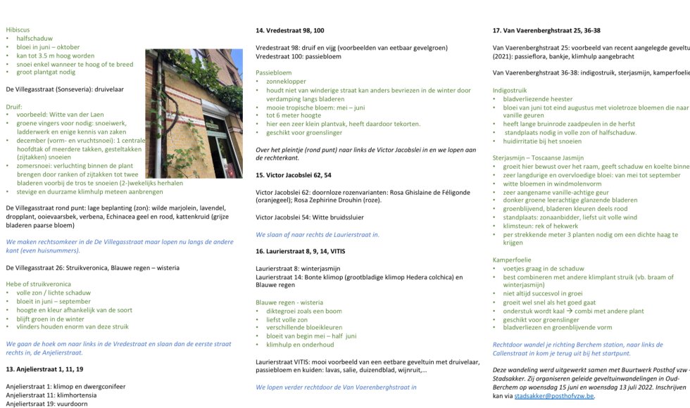 Gevelroute Oud-Berchem