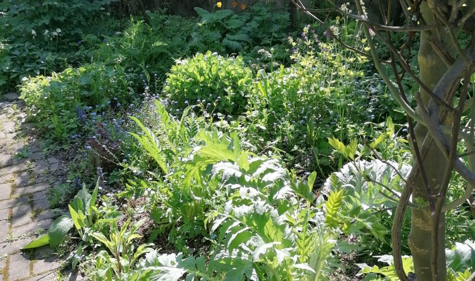 Mermaid house-garden