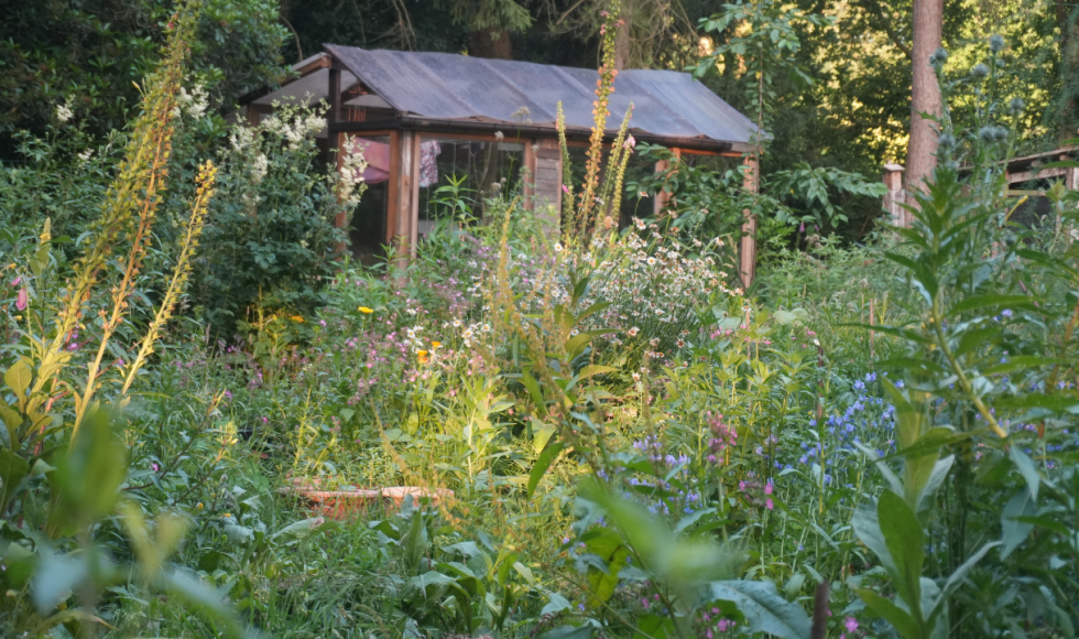 merel van baelen_oevervloed_Balen