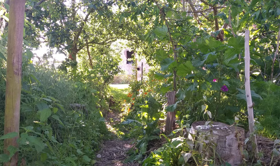 la maîtresse du vert