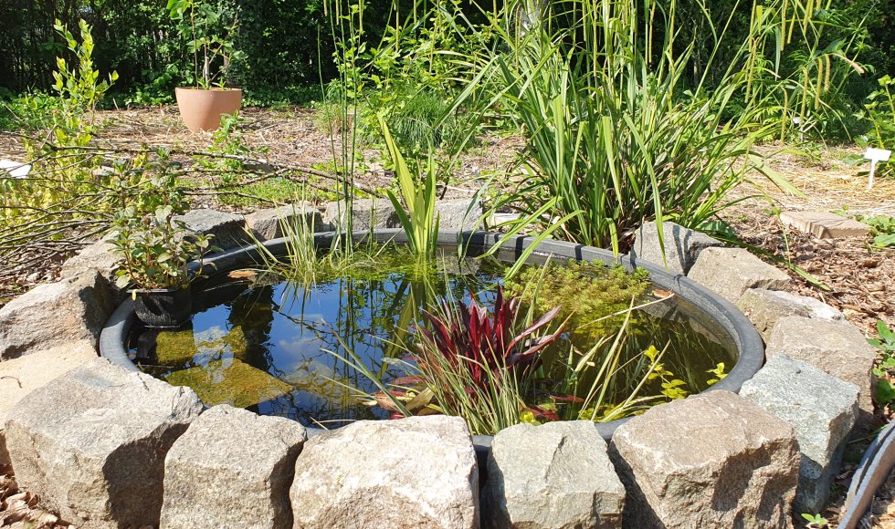 Ecomoestuin en voedselvos van familie van hoof 1