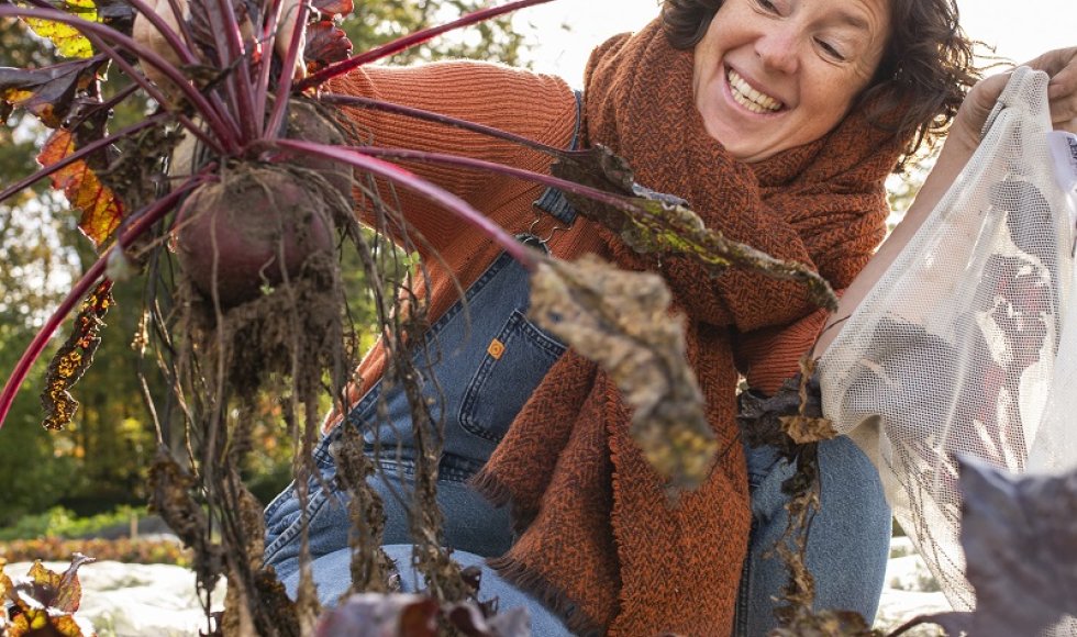 seizoensgroenten telen