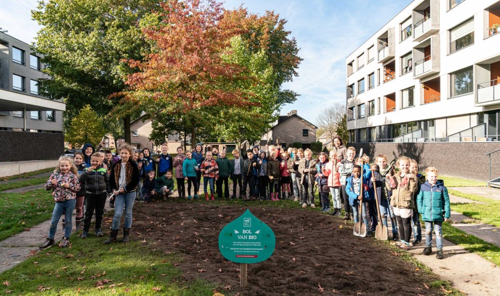 Biologische bloembollen