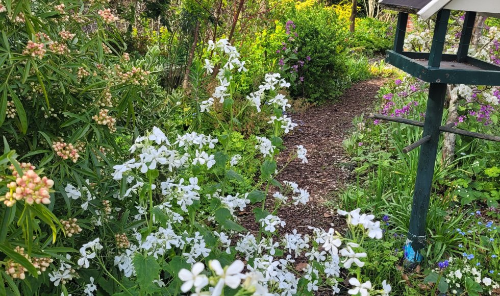 tuin van Inke Mensink en Jan Wegemans
