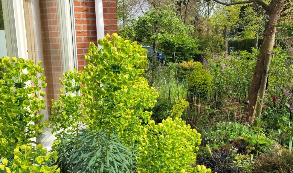tuin van Inke Mensink en Jan Wegemans