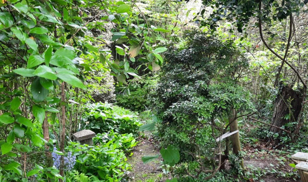 ecotuin van de familie Segers - Van Loock