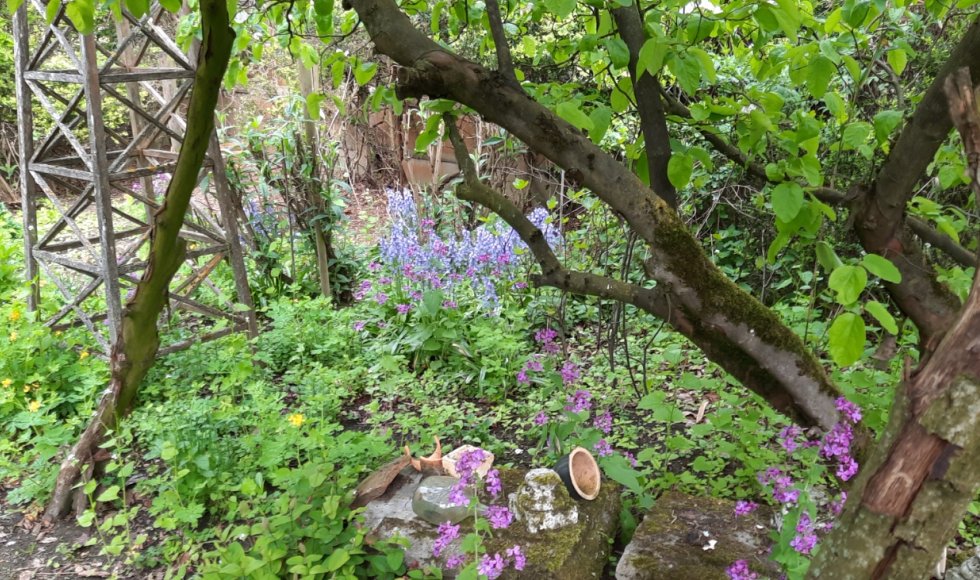 ecotuin van de familie Segers - Van Loock