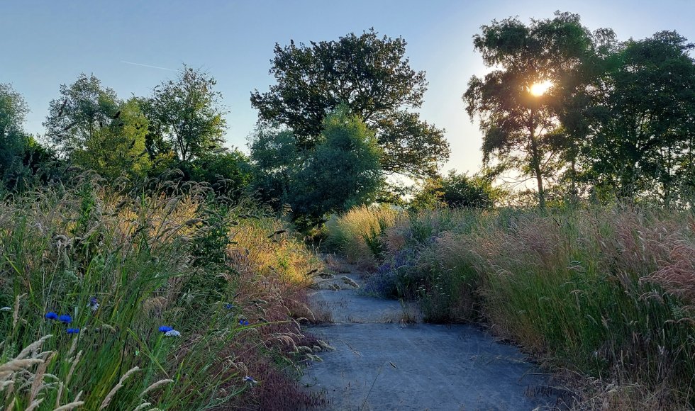 Kessel Het Netepaleis 8