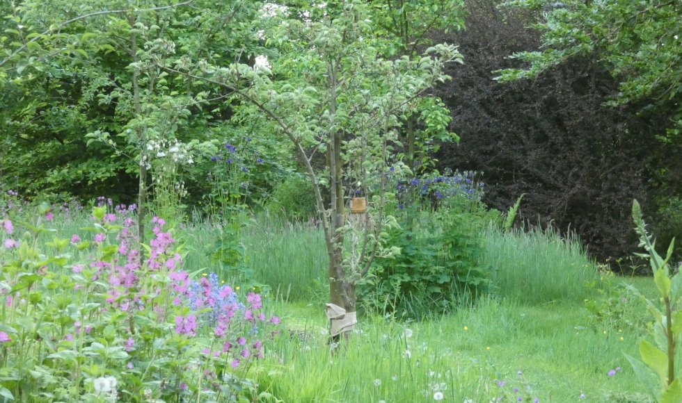 Jubbega It Skarrelhiem 4