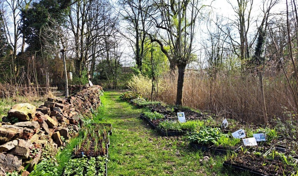 Plaats De Kleine Aarde 3