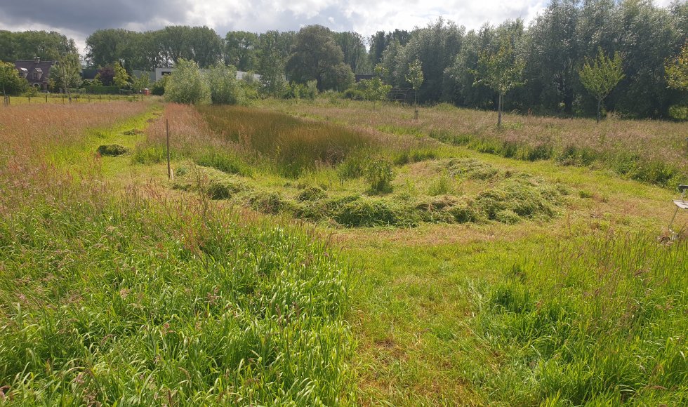 Hof ter Lieverstede_Siska Dumoulin