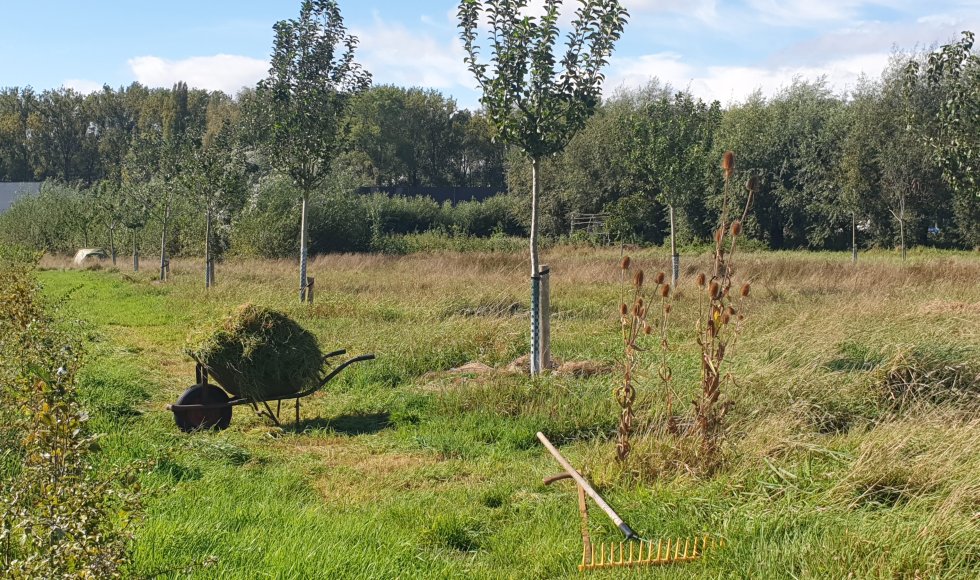 Hof ter Lieverstede_Siska Dumoulin