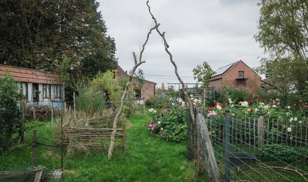 Joke Van der Maelen Berlaar