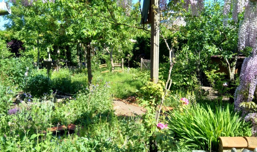 Carla's eetbare achtertuin