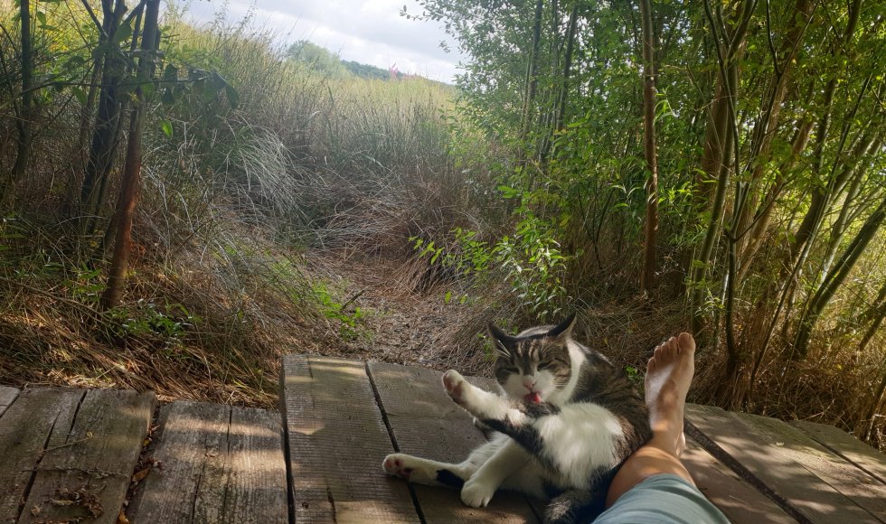 Hof ter Lieverstede_Siska Dumoulin