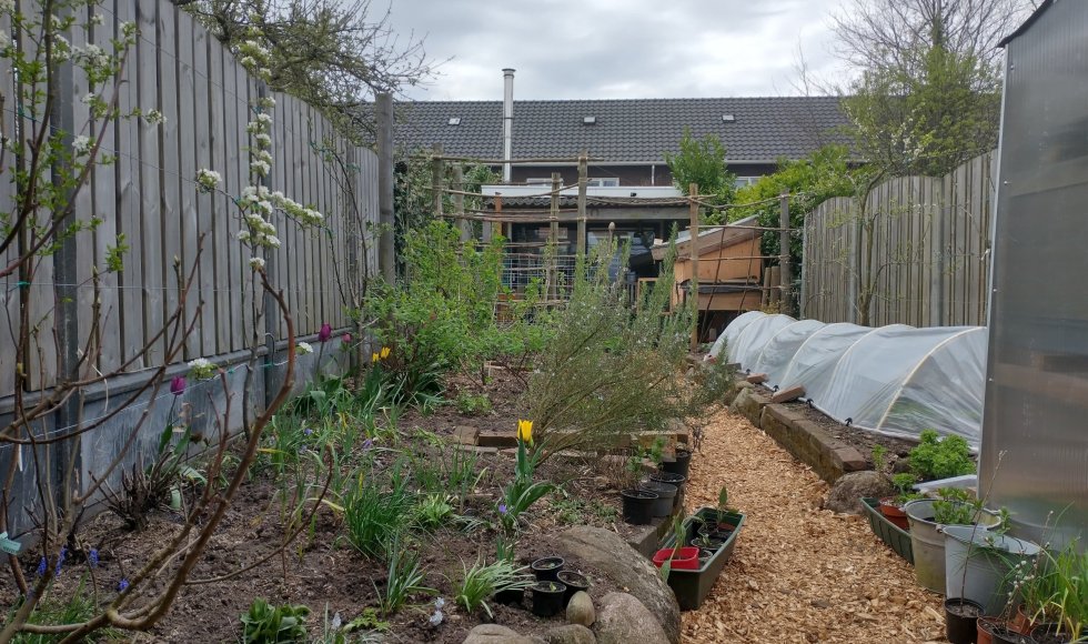 Kolibri perma-stadstuin