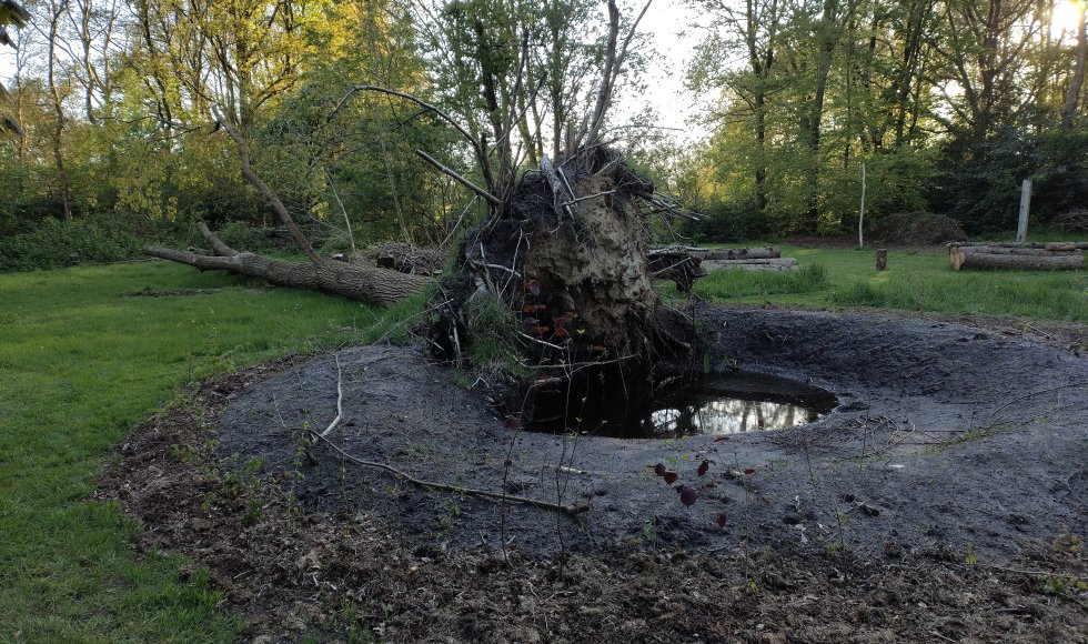 Jubbega It Skarrelhiem 1