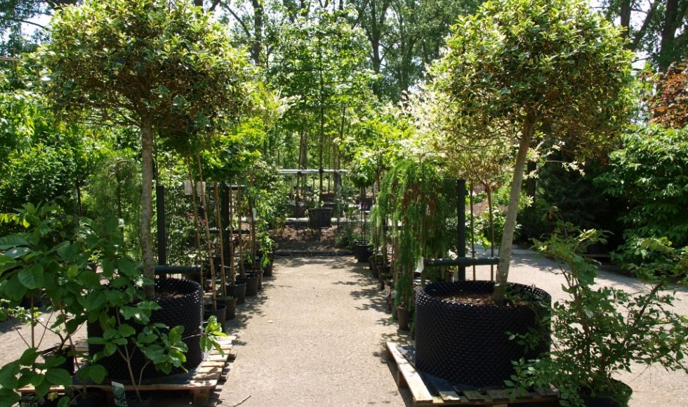 Holsto Tuinen &amp; Buitenleven