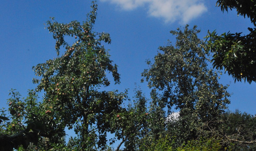 Ecotuin Anton en Lieve Buytaert-Feys