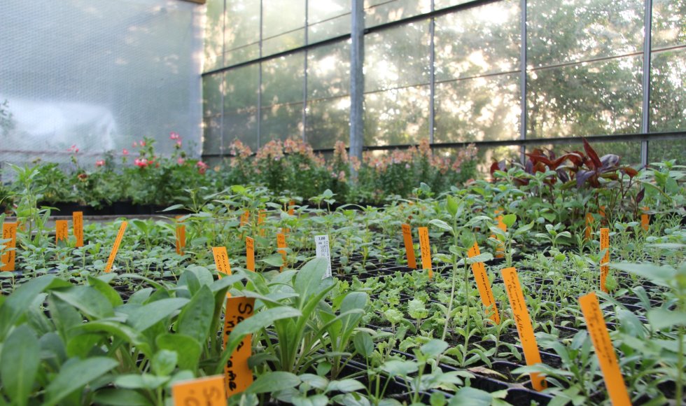 Holsto Tuinen &amp; Buitenleven