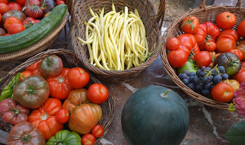 merel van baelen_oevervloed_Balen