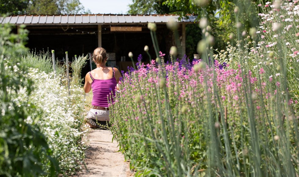 La ferme du Bois-le-Comte
