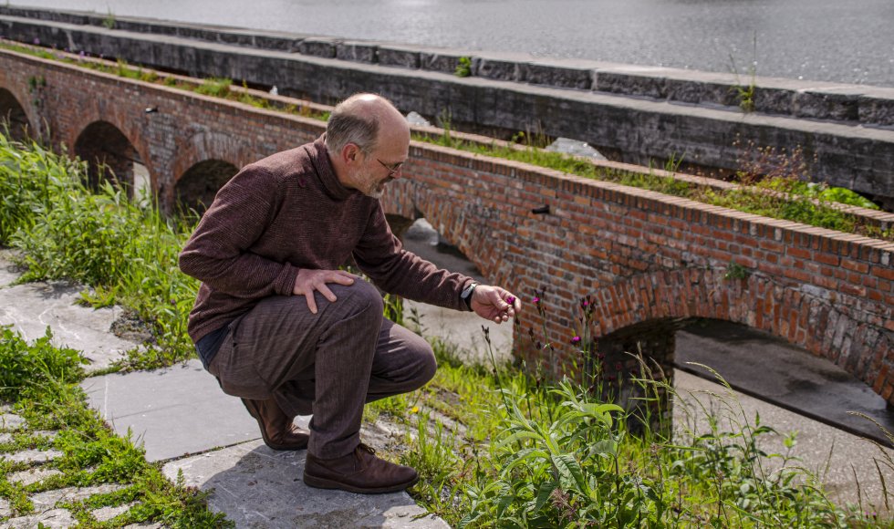 Stadsecoloog Geert Heyneman