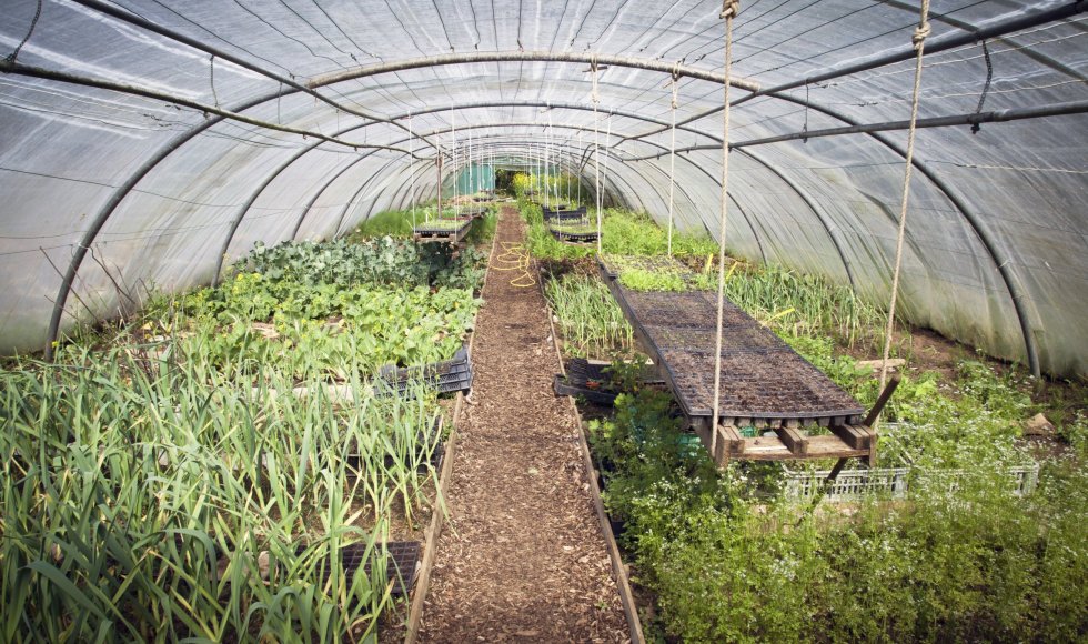La ferme du Bois-le-Comte