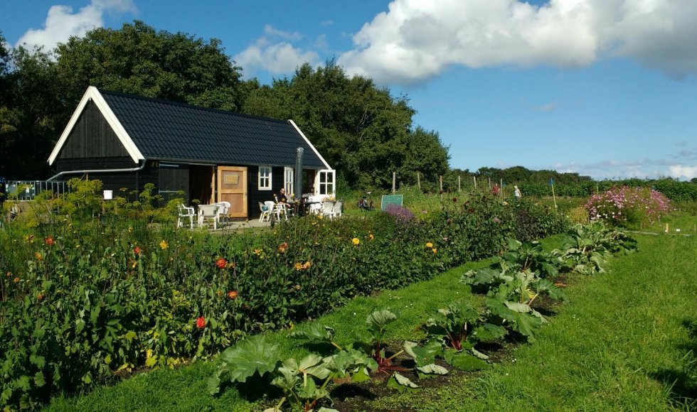 De Tuin naast de Branding