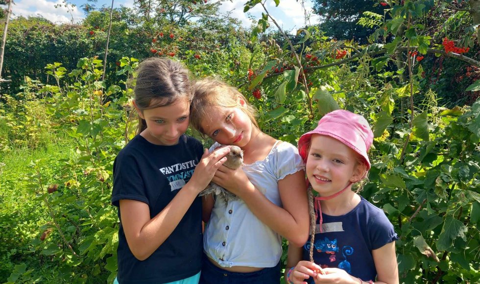 Oostkamp Pluktuin duizendschoon 2