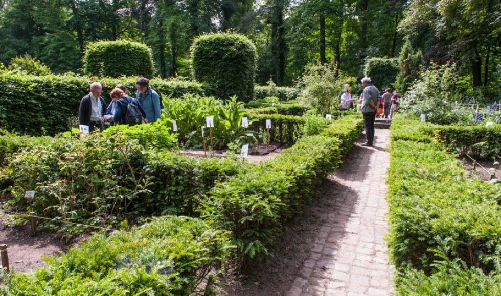 Dodoenstuin kruidentuin