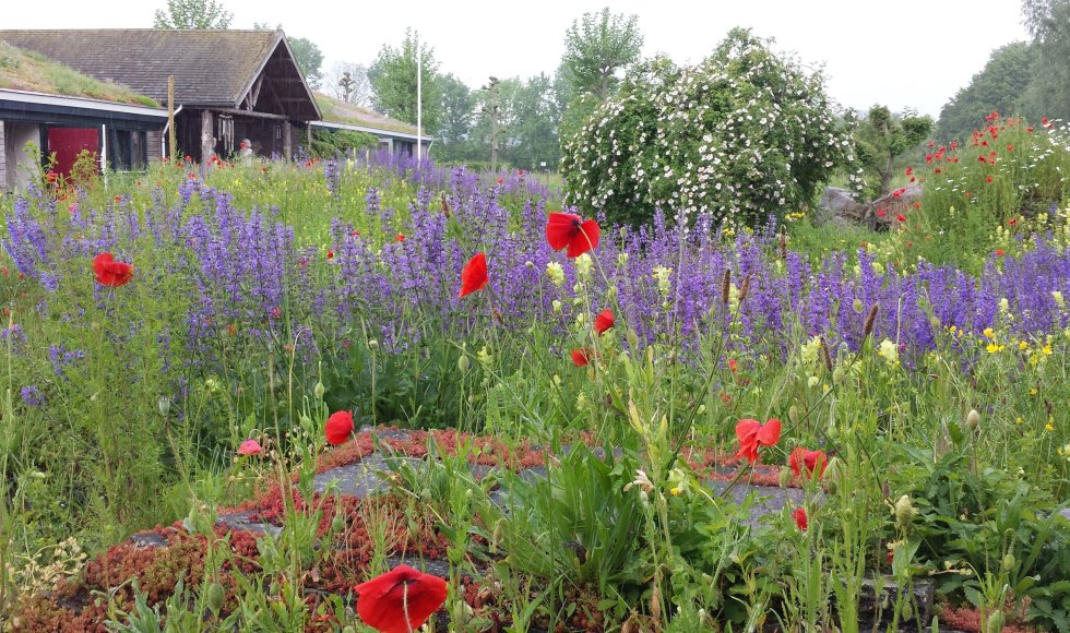 Natuurtuinen Jekerdal