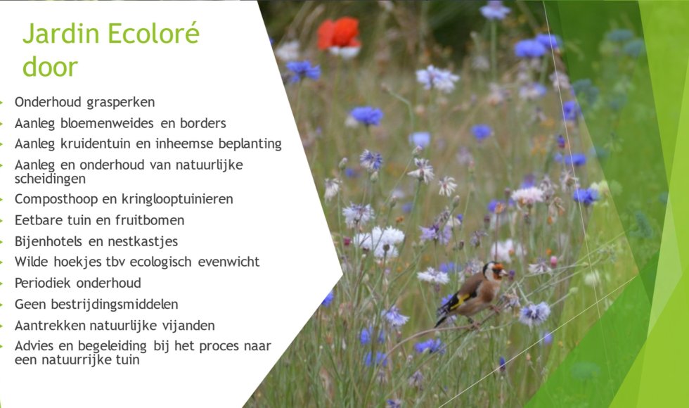 Jardin Ecoloré