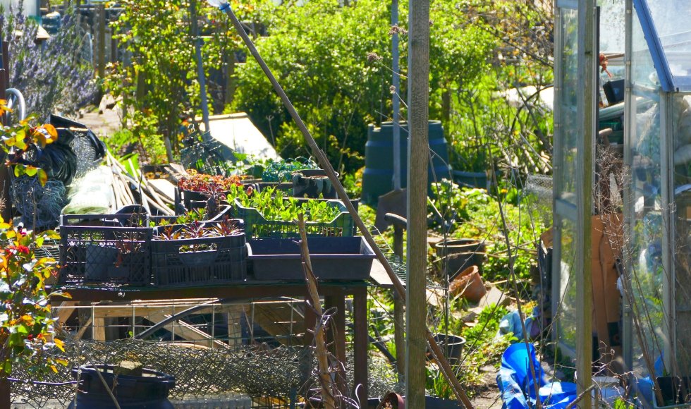 Volkstuindersvereniging Huizen/ Karin van den Eshof