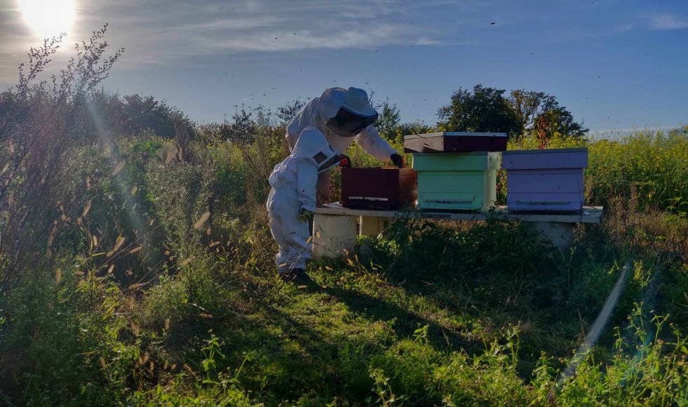 Nieuwe oude boomgaard Willem en Laura