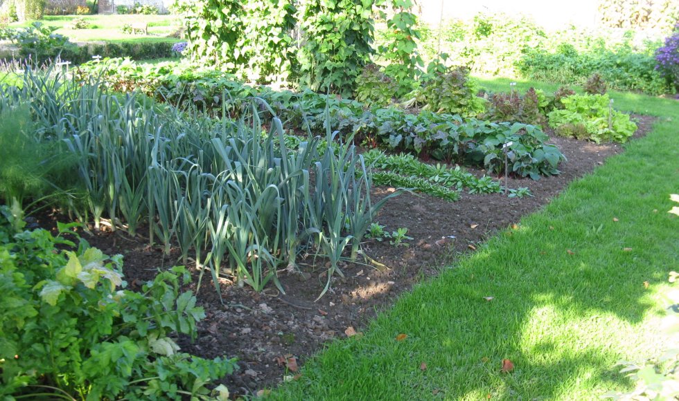 De Kwallef van Vliek