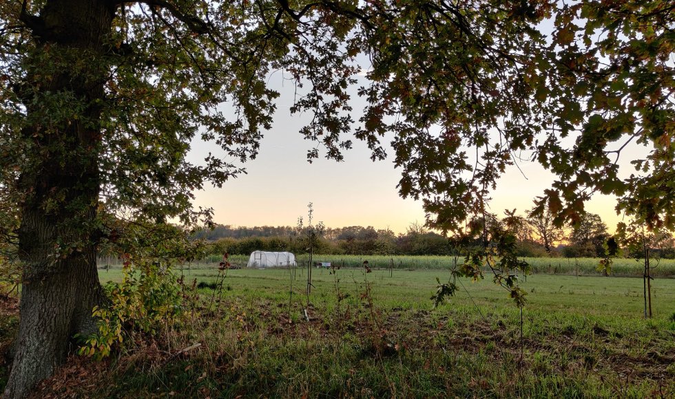 Nieuwe oude boomgaard Willem en Laura